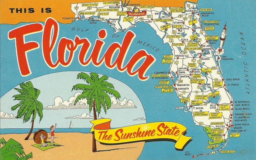 Rate the State: Florida