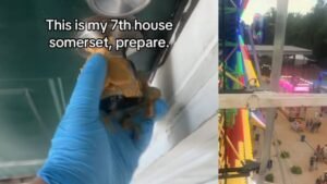 Mystery Peanut Butter Smearer Hits Pulaski County Fair After Targeting Somerset Doorknobs